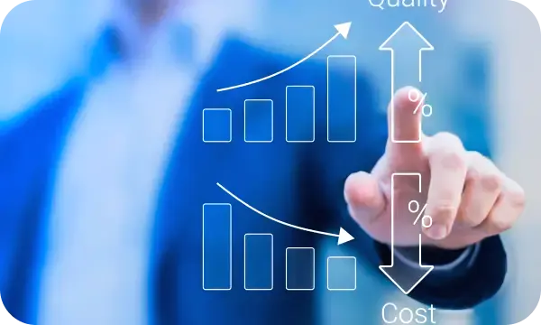Punct Bitrevian administrare portofoliu