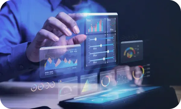 Punct Bitrevian administrare capital